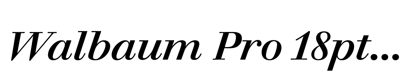 Walbaum Pro 18pt Medium Italic